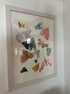 Minted Watercolor Moth & Butterfly Art Print - Multicolor with White Frame 16x20